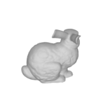 3D model of rabbit