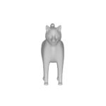 Gray 3D cat model