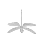 3D model of a dragonfly