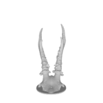 3D model of curved animal horns