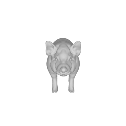 3D model of a pig front view