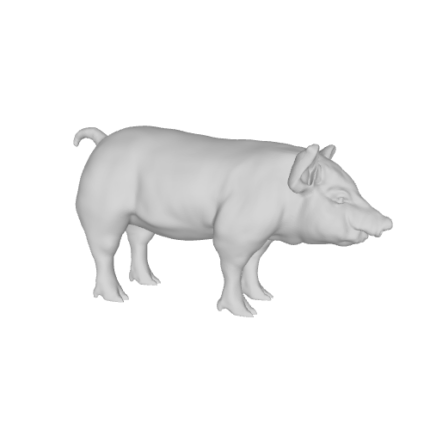 3D model of a pig